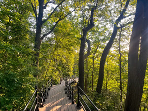 Sunday Hike & Yoga for Women